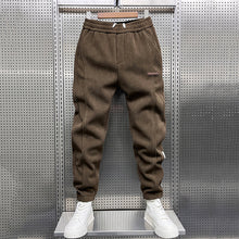Load image into Gallery viewer, Winter Thickened Velvet Solid Color Harem Pants