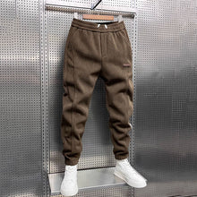 Load image into Gallery viewer, Winter Thickened Velvet Solid Color Harem Pants