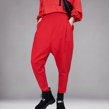 Load image into Gallery viewer, Harem Pencil Pants