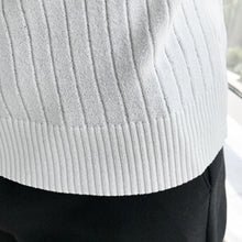 Load image into Gallery viewer, Contrast Stripe Trim Slim-fit Polo Shirt