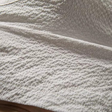 Load image into Gallery viewer, Textured Collared Polo Shirt
