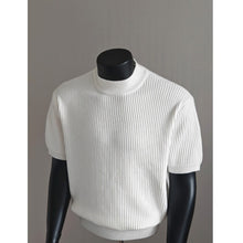 Load image into Gallery viewer, Turtleneck Short-sleeved Striped Sweater
