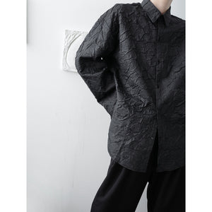 Pleated Design Shirt